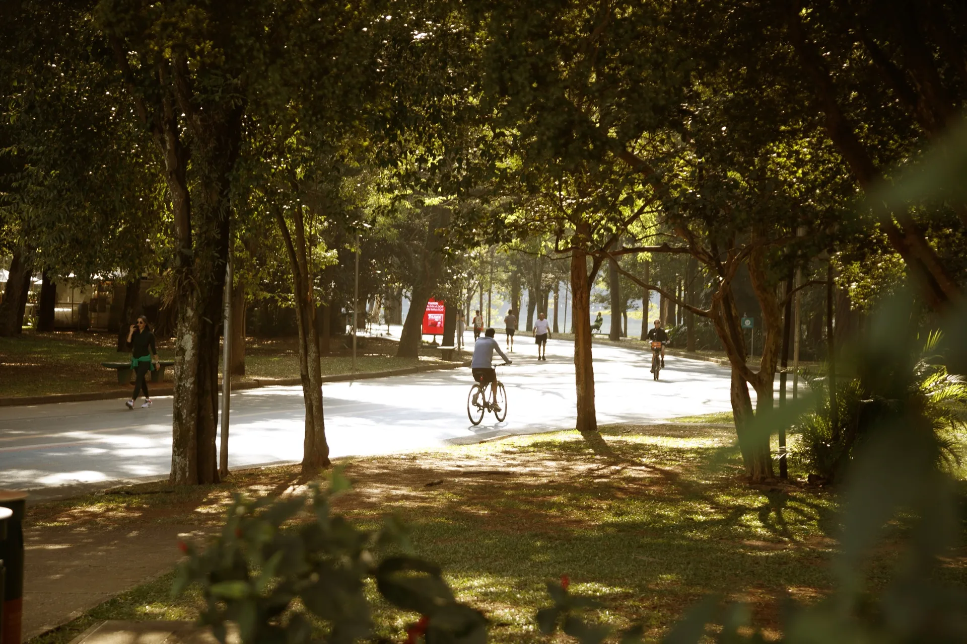 Área verde próxima ao Blend 468, na região dos Jardins, em São Paulo