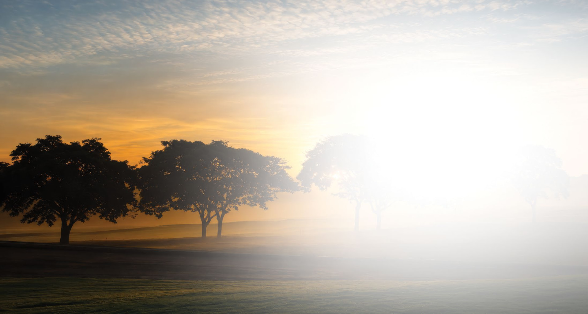 Amanhecer real no terreno do Heritage Riviera Porto Feliz, com névoa sobre o campo e árvores em contraluz