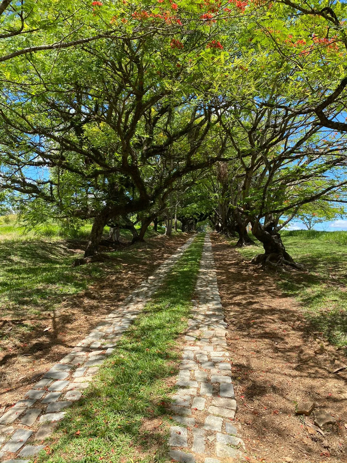 Perspectiva aérea da Fazenda Vista Verde, loteamento de luxo da LN Urbanismo em Araçoiaba da Serra, com áreas verdes, hotel e piscina de ondas